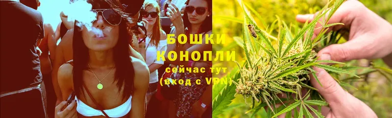 Шишки марихуана OG Kush  Гуково 